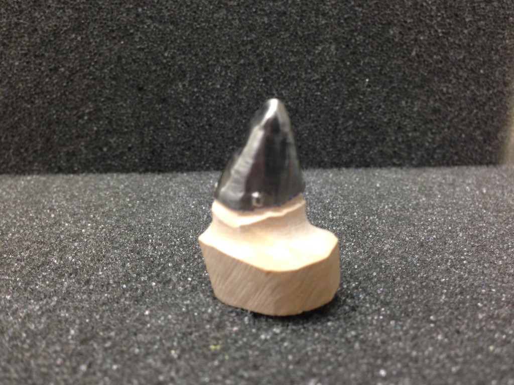 Steve's Precision Dental